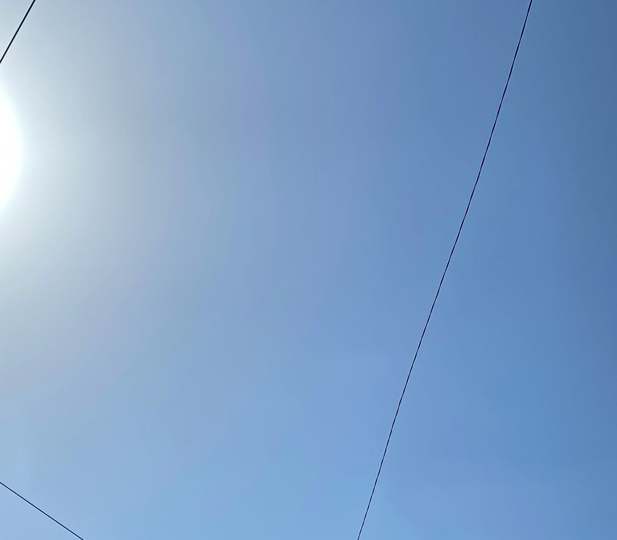 坊っちゃん tweet media