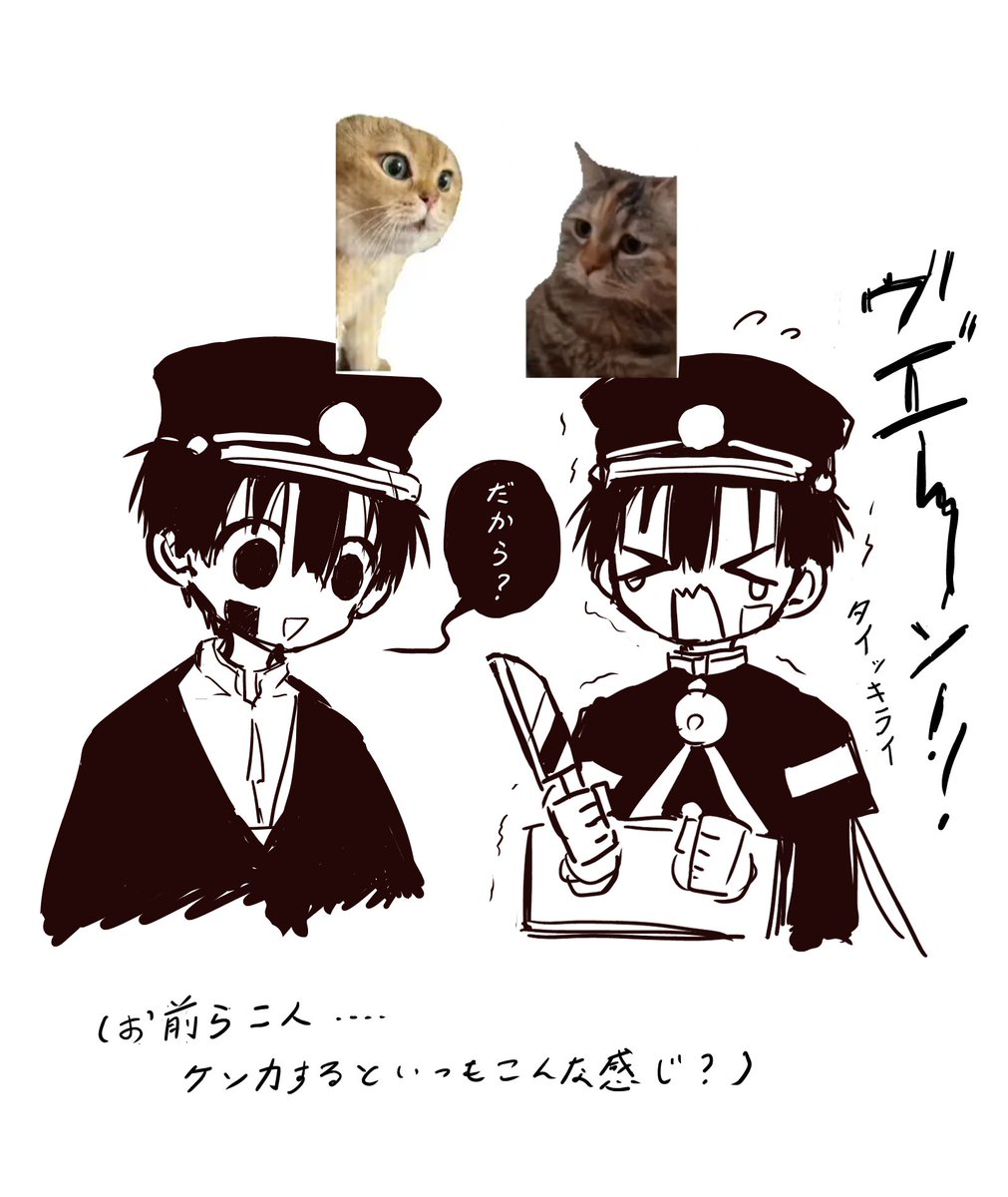 猫ミームゆぎ
