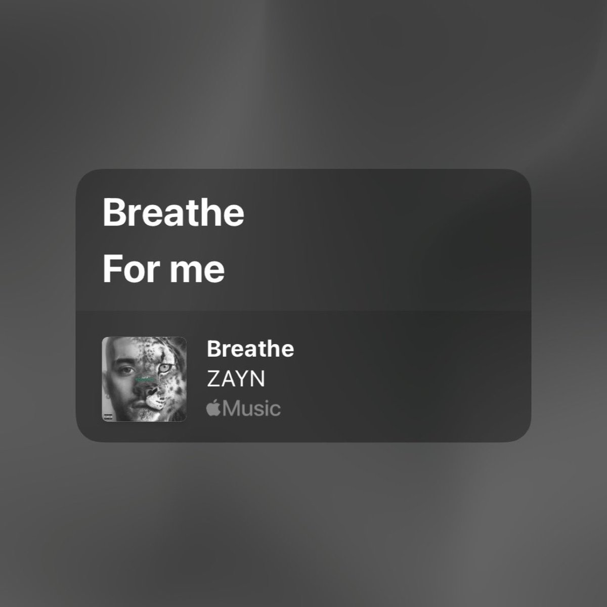 bradfordgal x konnakol ❣️ tweet media