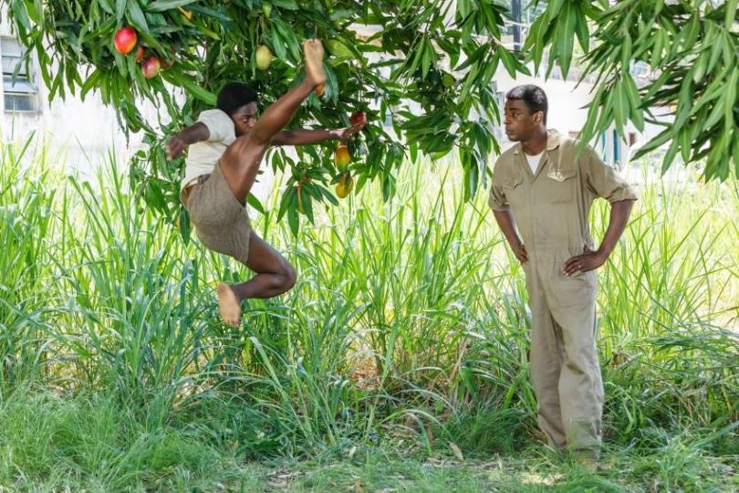 ***SARCASM*** tweet media