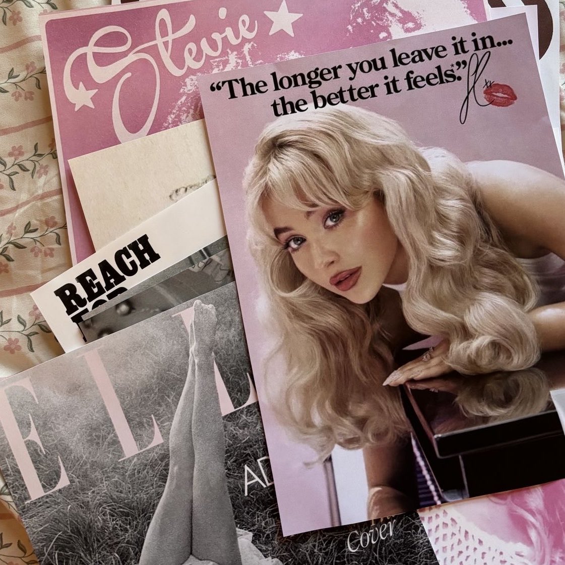 chalé 10 tweet media