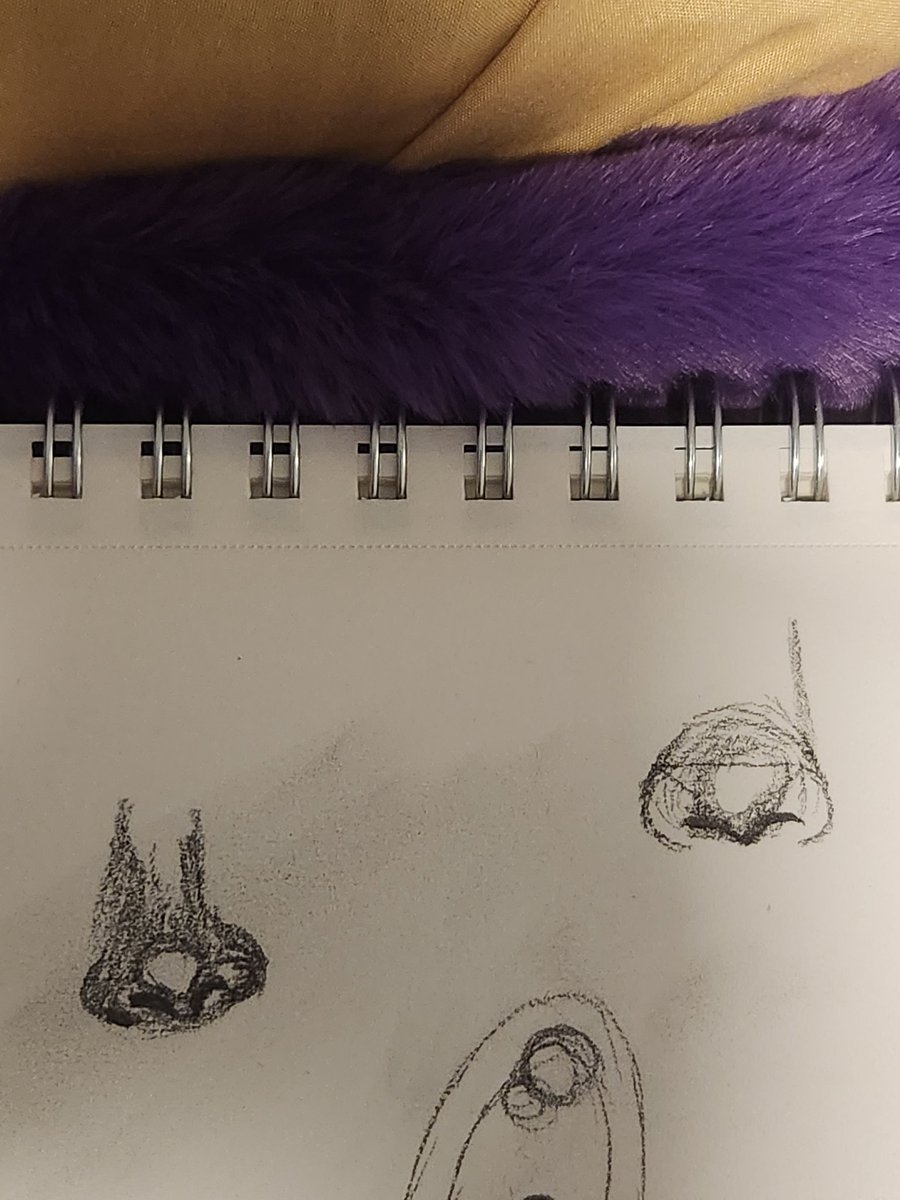 CueTea 🐾 tweet media