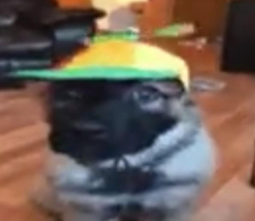 tremendation tweet media