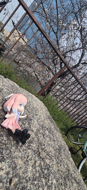 bsma13a's tweet photo. おはようございます(_ _).｡o○BeSmileです(^^)v
桜終わりましたね／(^o^)＼あっという間でした(ﾟωﾟ)
桜楽しめましたか？( ´∀｀)私も桜を楽しむため花見をしに行きました٩( ᐛ )و綺麗でした･:*+.\(( °ω° ))/.:+ https://t.co/YgykR2gB91