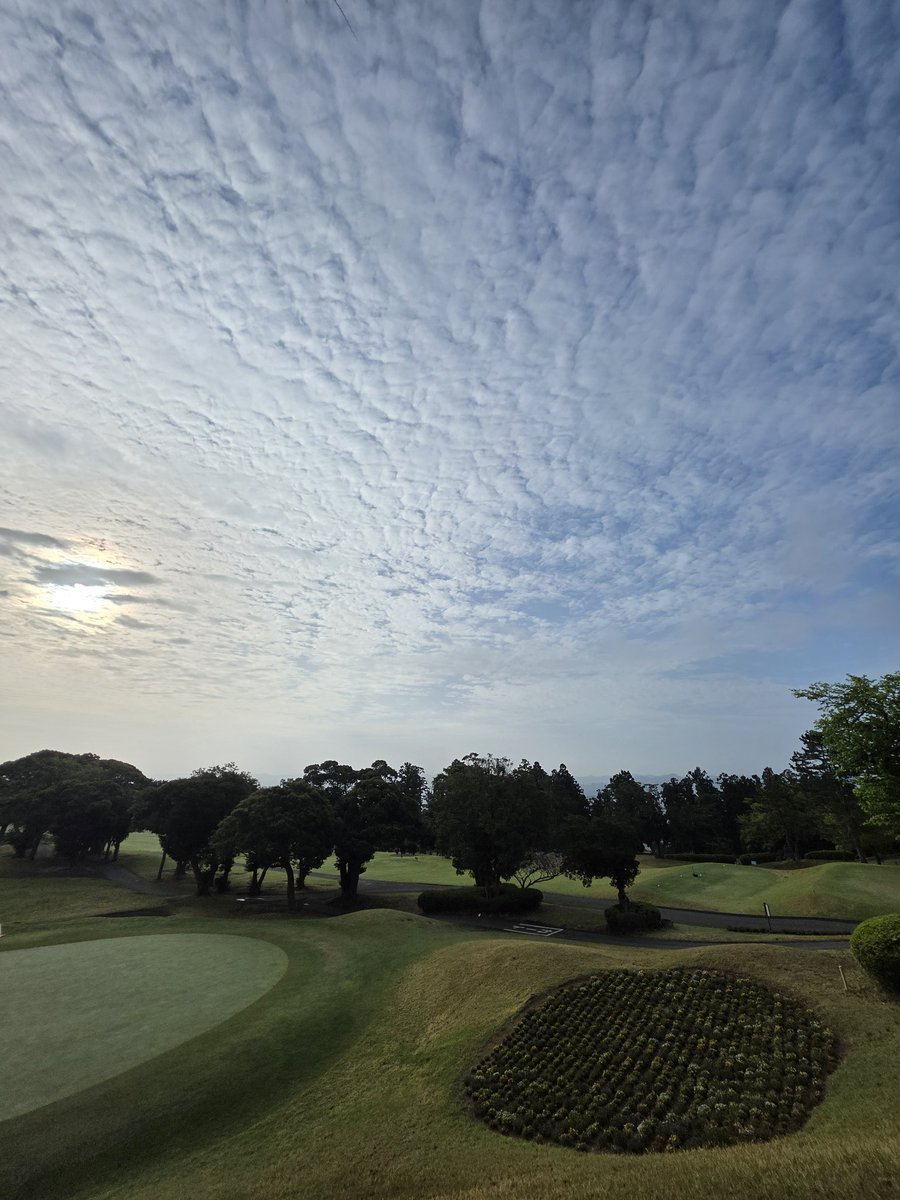 V£*絆* tweet media