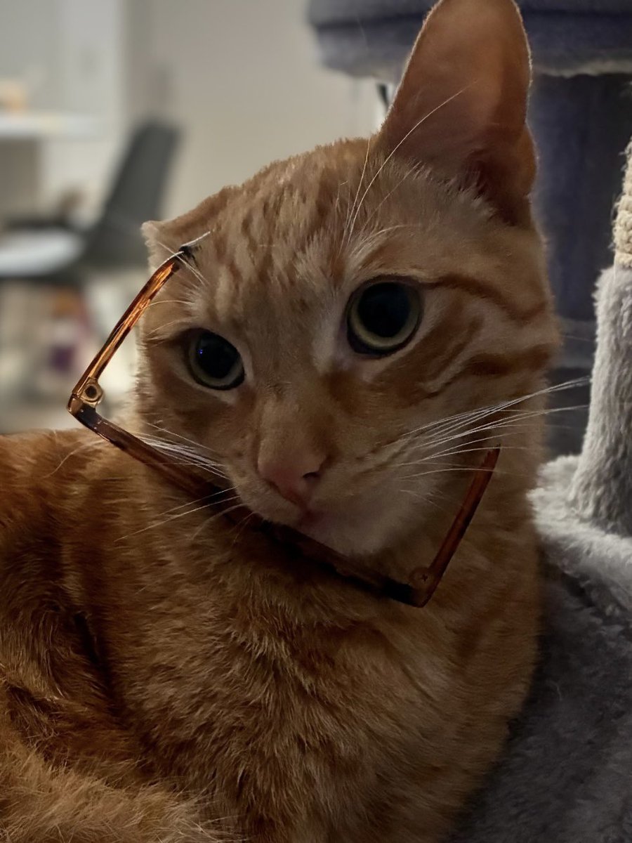 ✨ maze ✨ you sleep. i watch tweet media