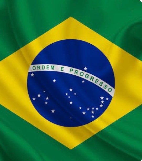 Politiquei Br tweet media