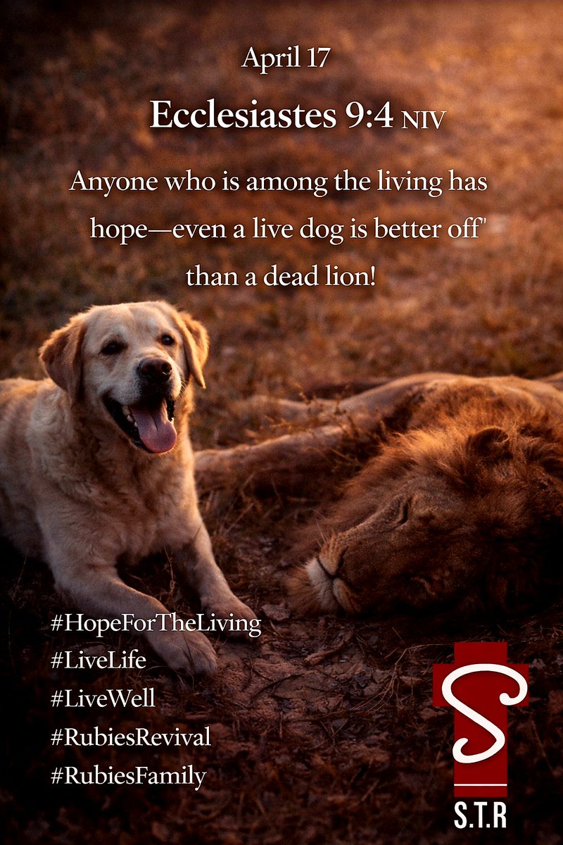 stonestorubies's tweet image. April 17
Ecclesiastes 9:4 NIV
[4] Anyone who is among the living has hope- even a live dog is better off than a dead lion!

#HopeForTheLiving
#LiveLife
#LiveWell
#RubiesRevival 
#RubiesFamily