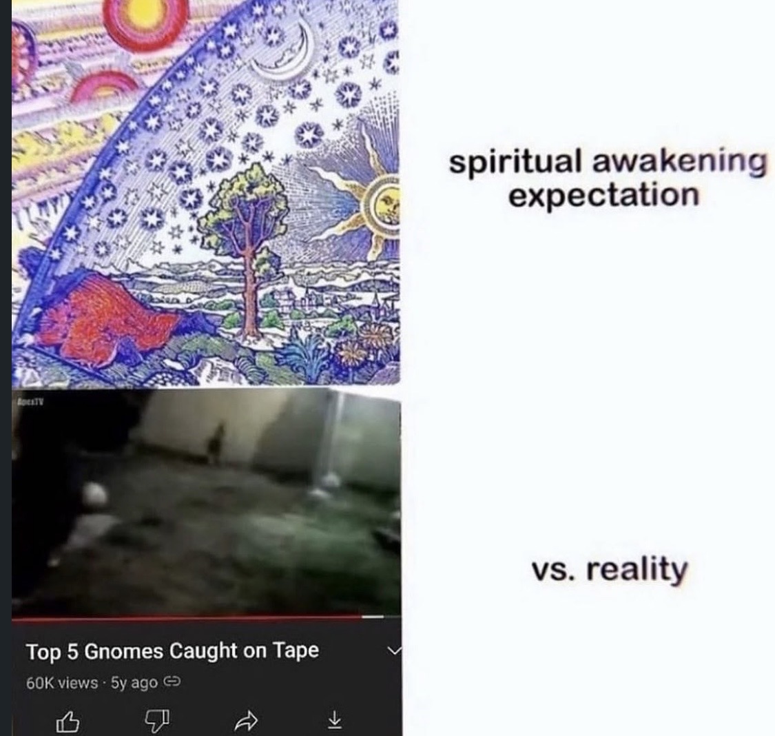 philosophy memes 🔗 tweet media