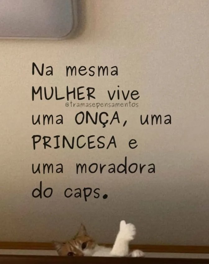 teu caos tweet media