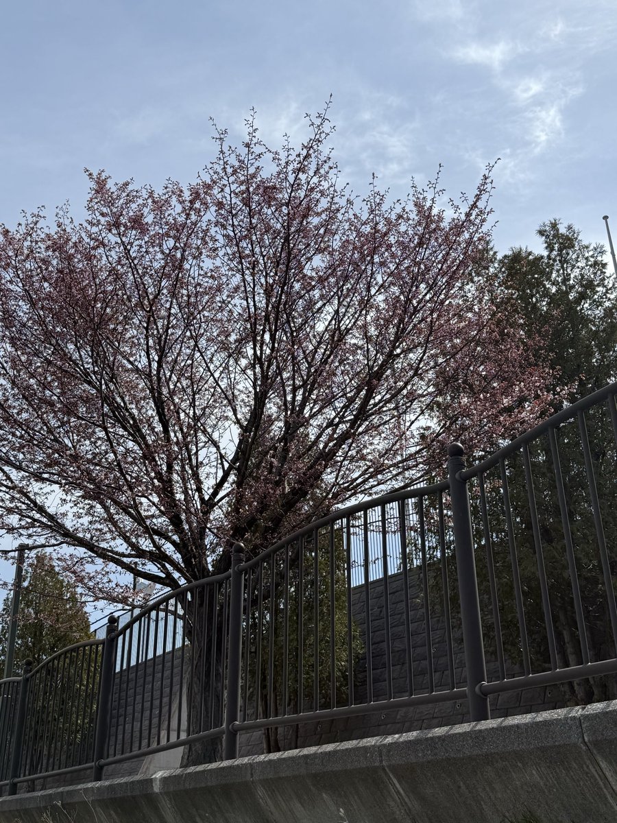 井上 淳 tweet media