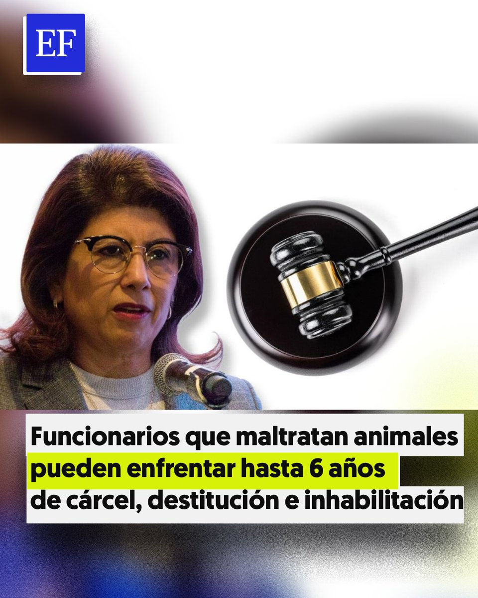 El Financiero tweet media