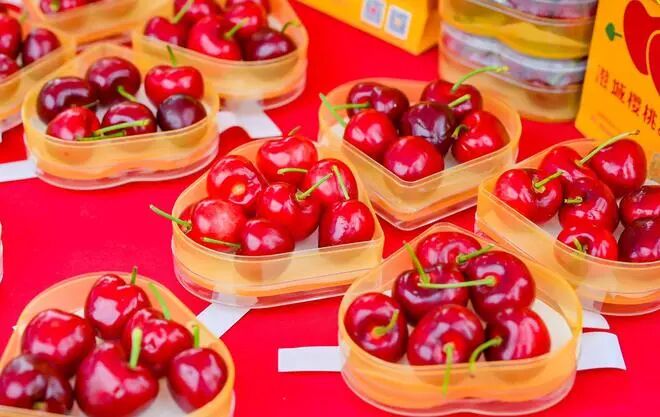 Thisisweinan's tweet image. From the Loess Plateau to the Middle East — one small cherry goes global. 🍒

Chengcheng cherries from Shaanxi make their first 2026 export to the UAE, bringing premium taste to desert markets.

#Cherries #FreshFruit #MadeInChina #UAE #FoodTrade