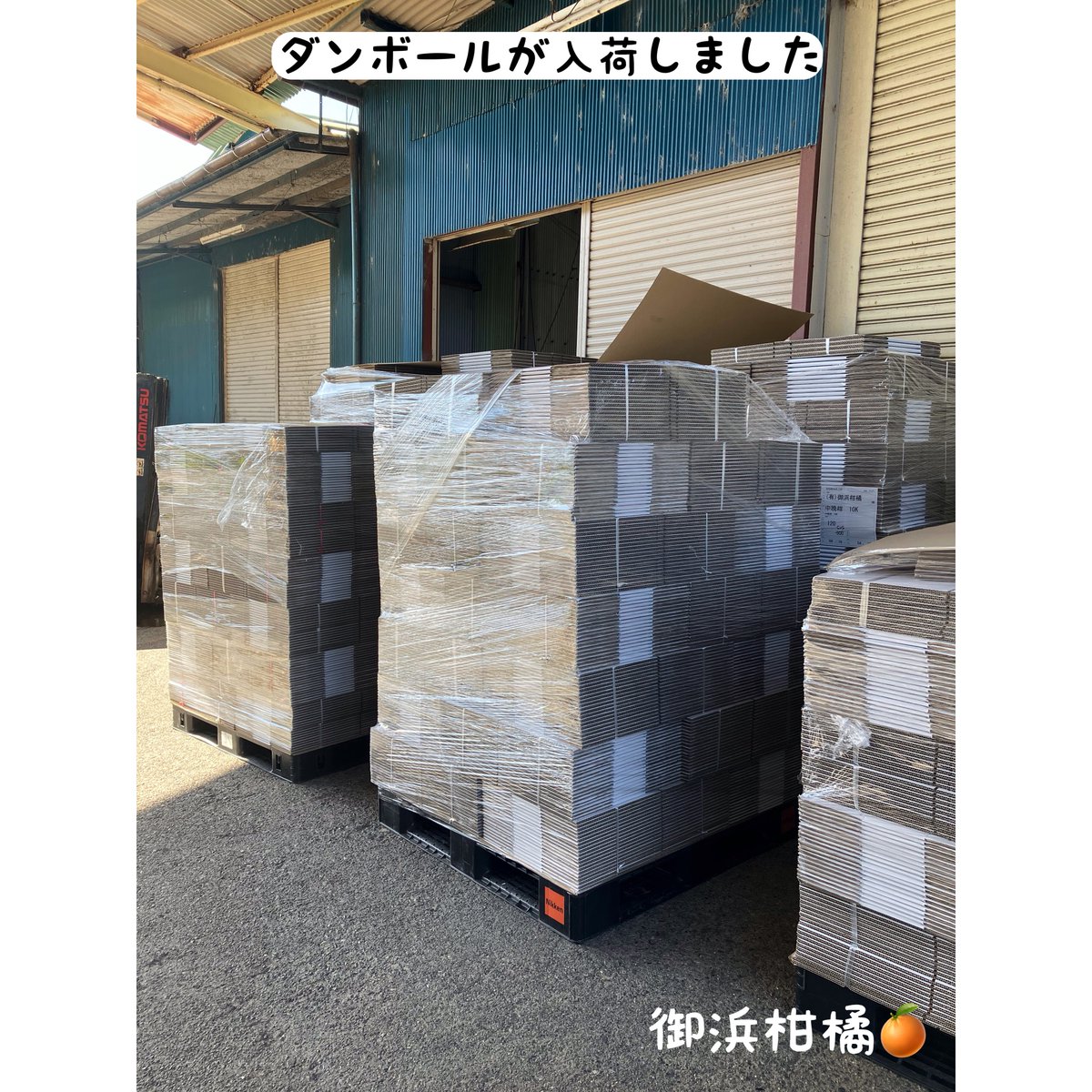 “こだわりみかん”の御浜柑橘 tweet media