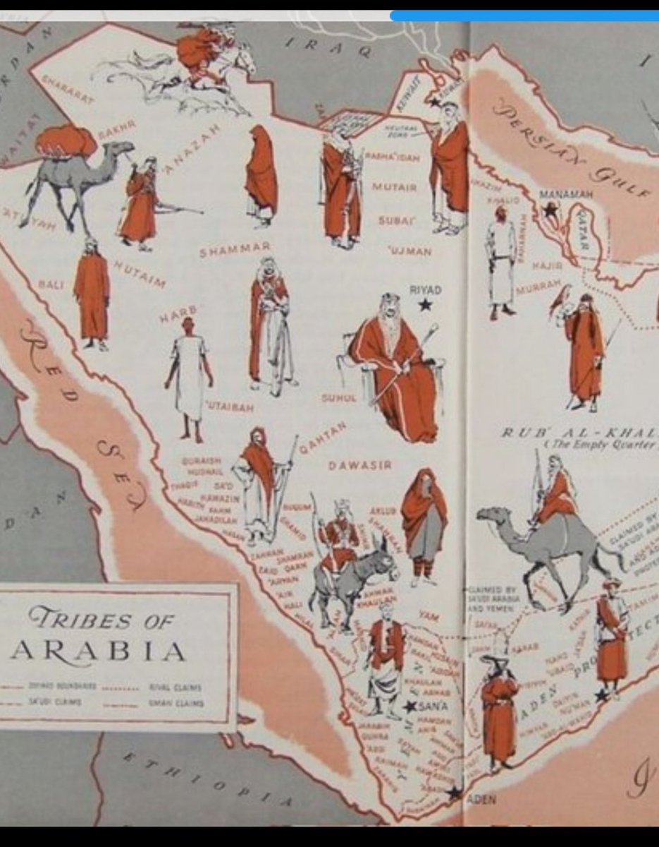 مُرَهِب العنزي tweet media