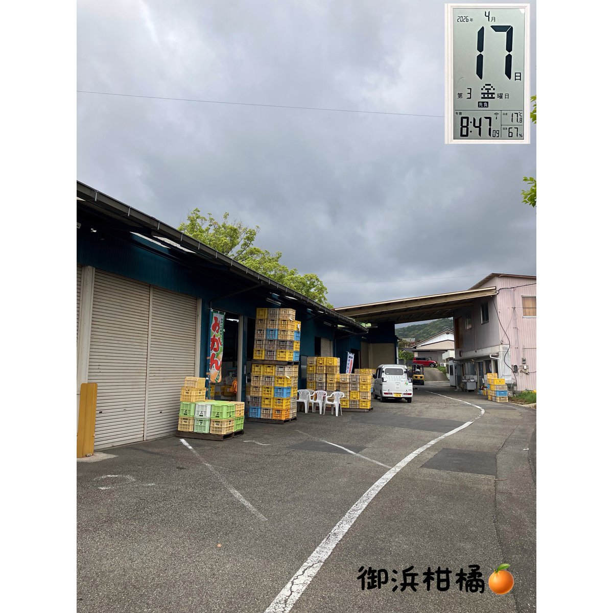 “こだわりみかん”の御浜柑橘 tweet media