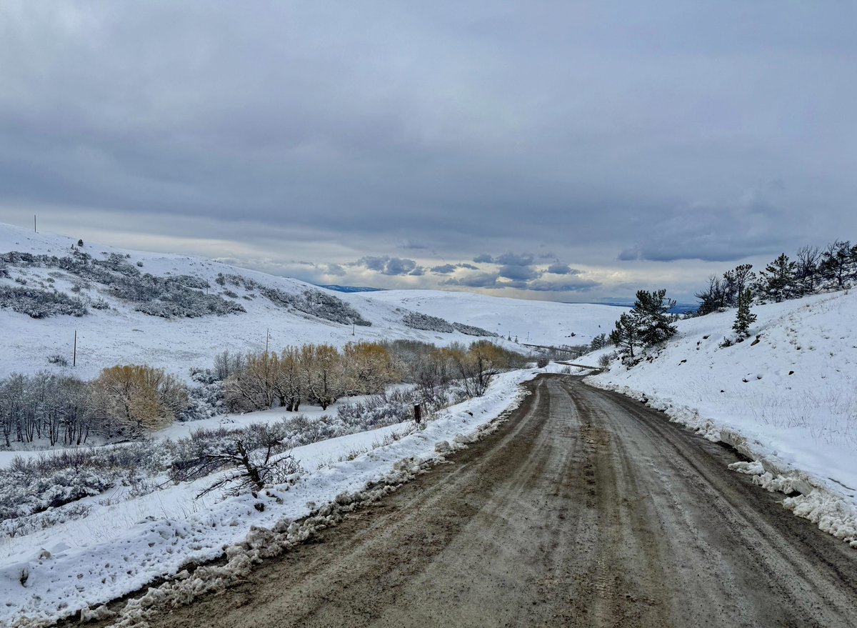 D. Scott tweet media