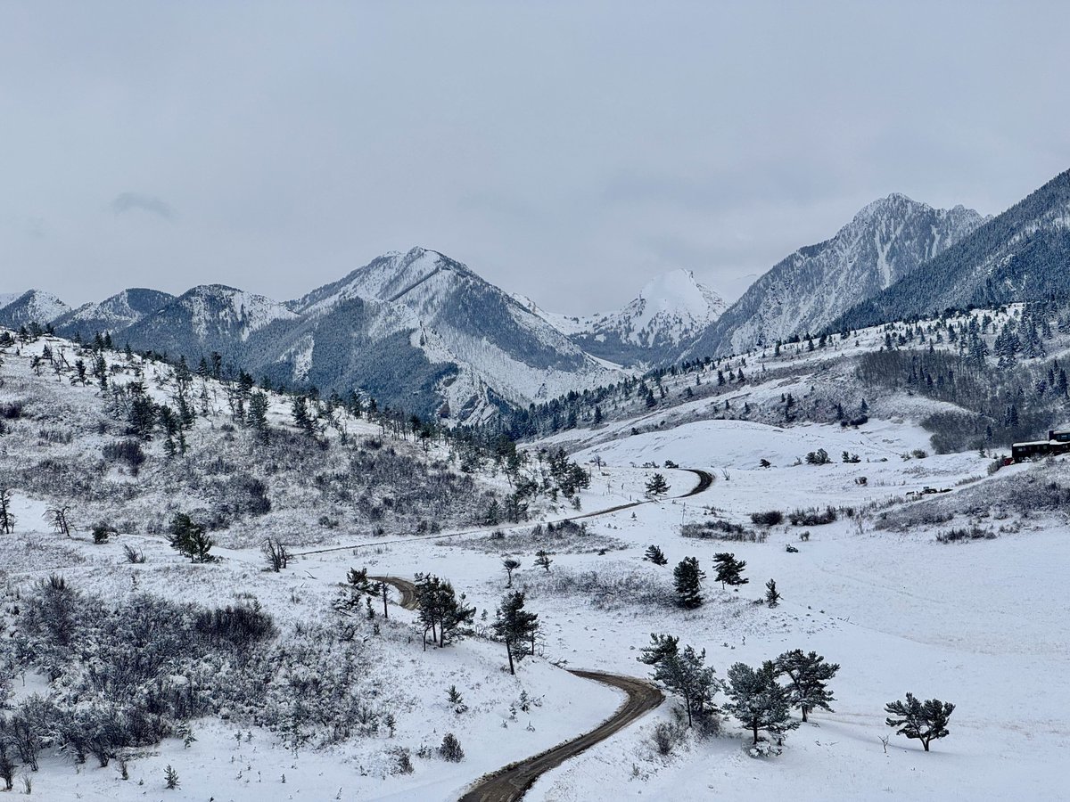 D. Scott tweet media