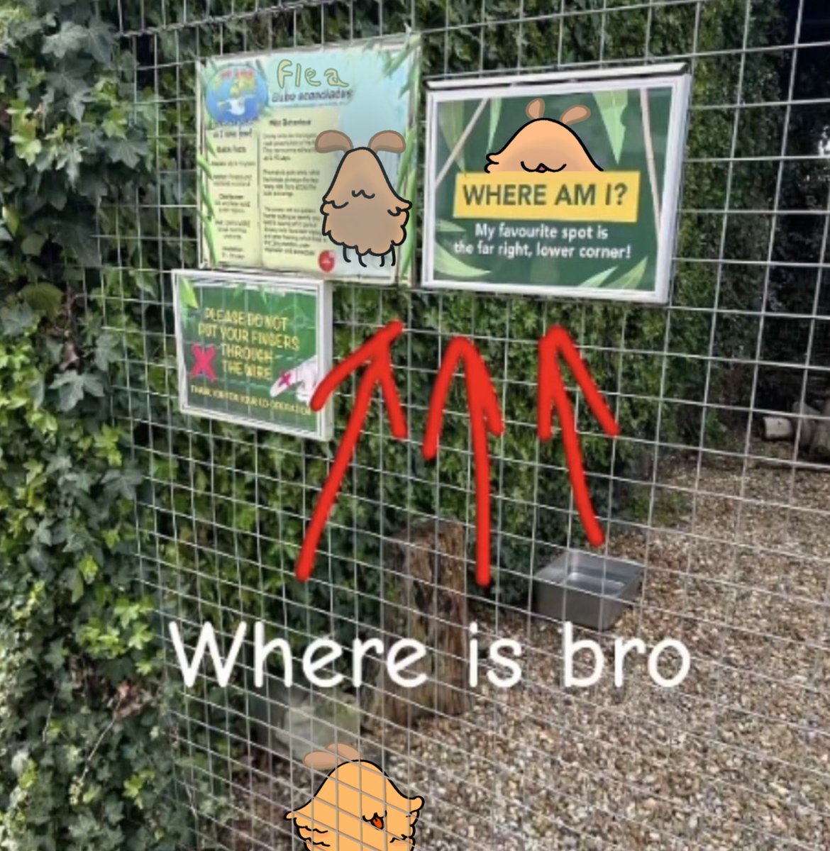 Leg eater tweet media