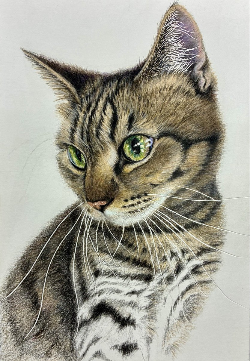 ウニ郎です♪　色鉛筆画 A5 犬・猫♡４枚 ウニ郎様専用です♪ 色鉛筆画 A5 犬・猫♡4枚 【公式通販】