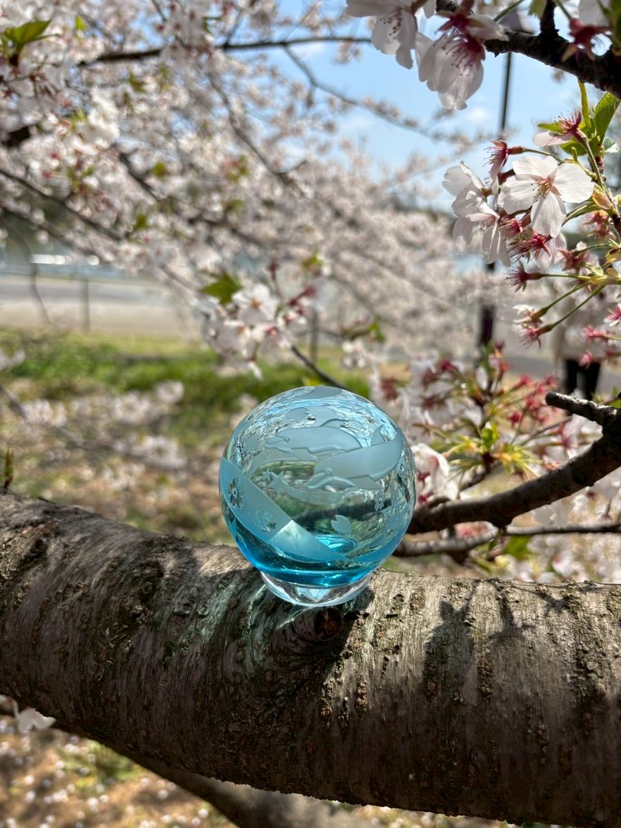 kobo_labo's tweet photo. ☆
小さなお墓 KOBO (コボ）
                                      
#手元供養
#ガラスのお墓 
#小さなお墓KOBO
#KOBO #コボ https://t.co/l20ziqMOHX