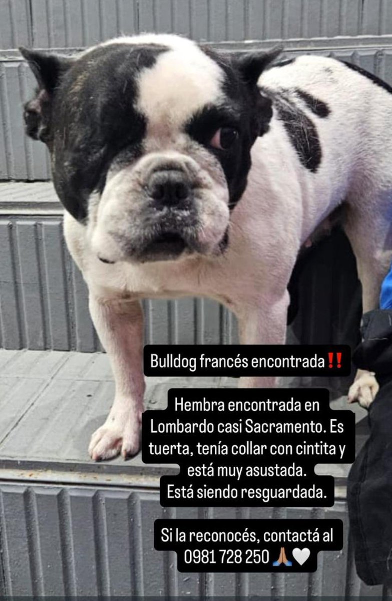 Marcando Huellas tweet media