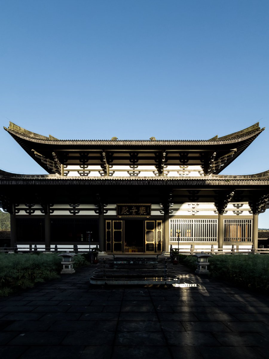 Alpha Cat tweet media