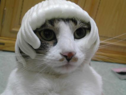 그거아저씨 tweet media