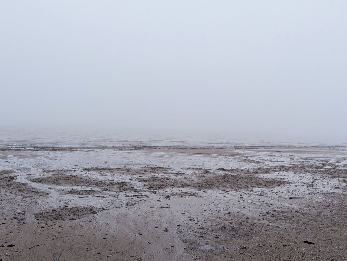 CornersParadise's tweet photo. 16 April 2026 #wasagabeach #nosunset #foggynight @jimsut10 https://t.co/pR2iNYHNsp