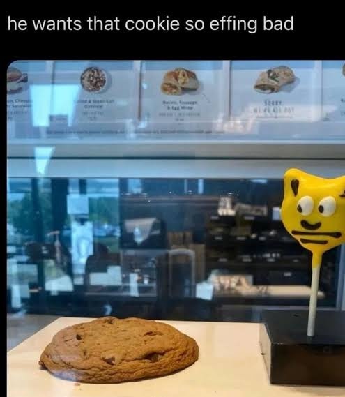 💥 Domo48 💥 tweet media