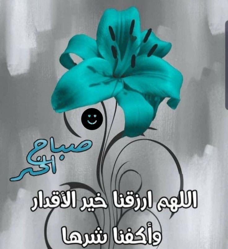 نورين tweet media