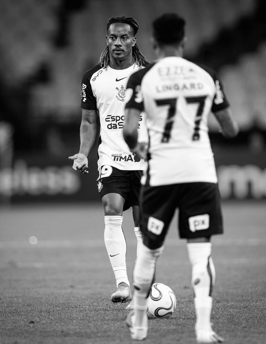 عالم كاريلو - CarrilloWorld tweet media