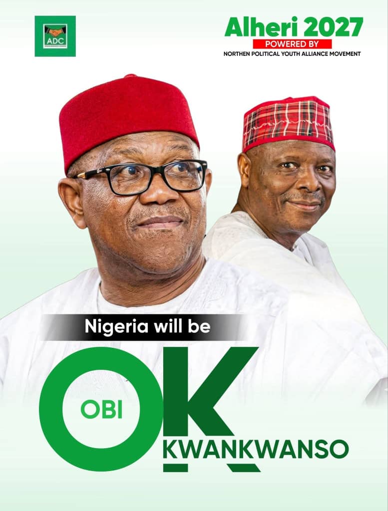 Oseloka H. Obaze (OHO) tweet media