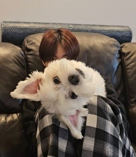 xuxi | ENHYPEN IS 7!! tweet media