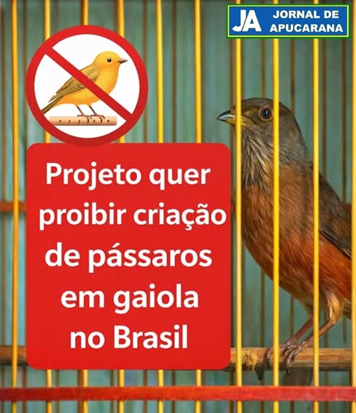 Milton Ribeiro 🚩 tweet media