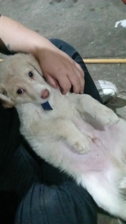 Hechos y Derecho tweet media