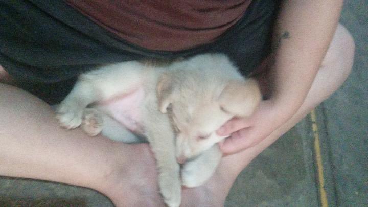 Hechos y Derecho tweet media