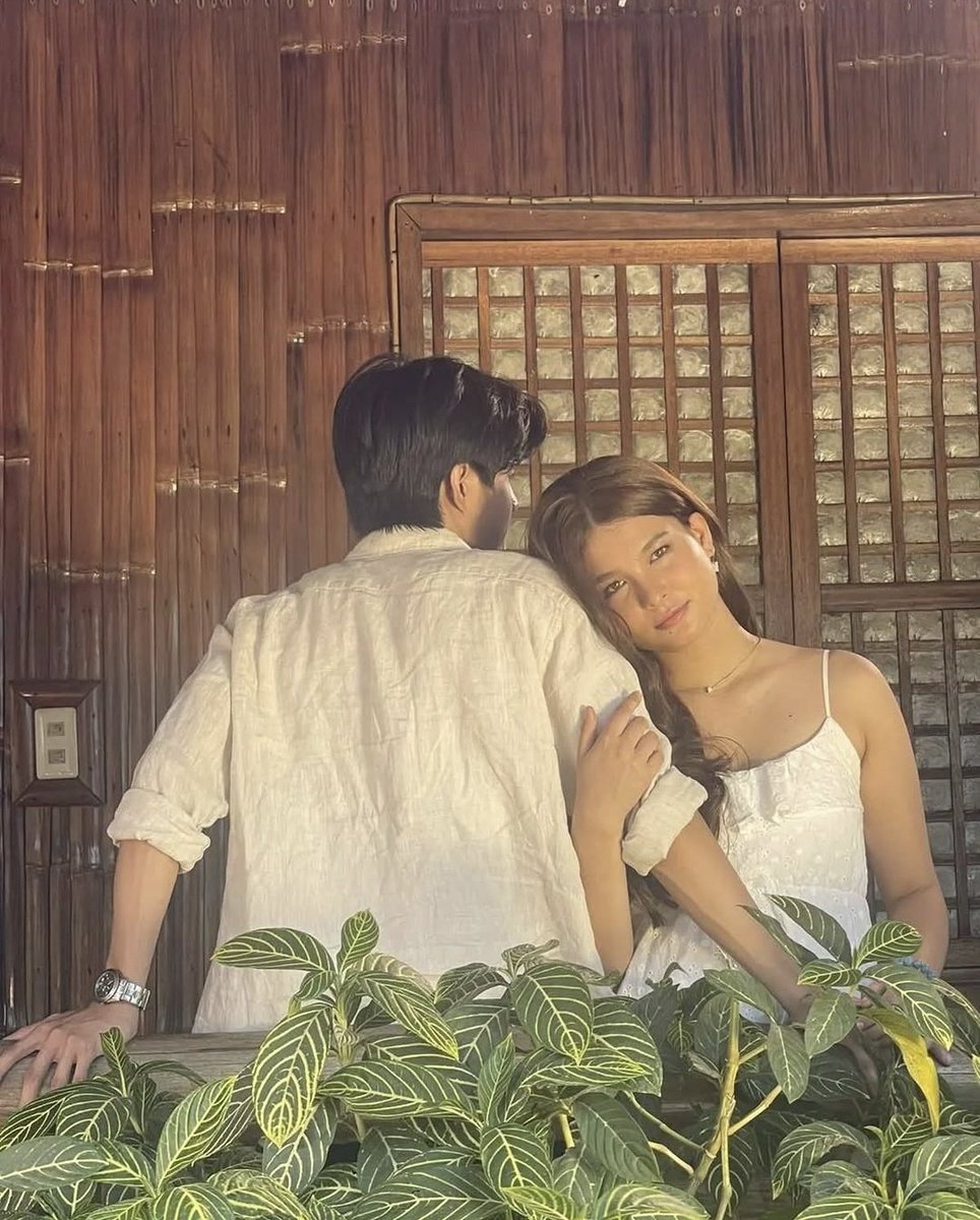 Sage and Yellow tweet media