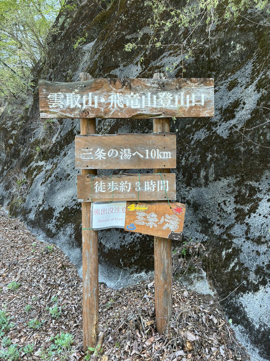 IZUIZUU tweet media
