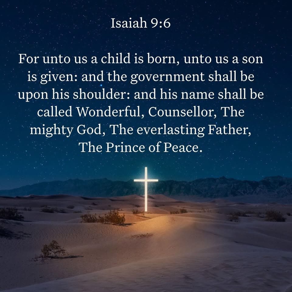 Alan (@elaine_alan) on Twitter photo 