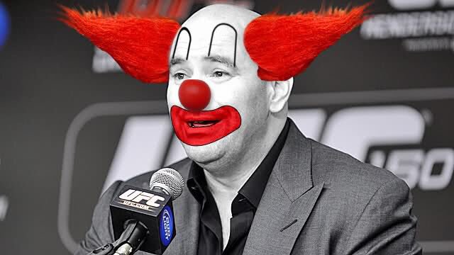 MMA watcher🇵🇸 tweet media