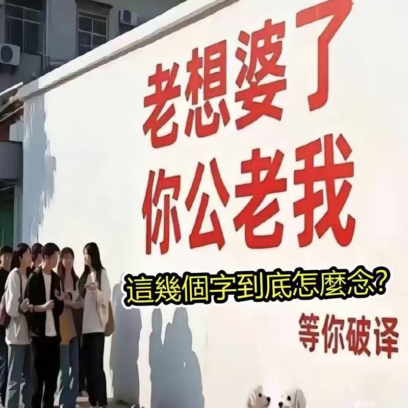 德里克迷因轉貼 tweet media