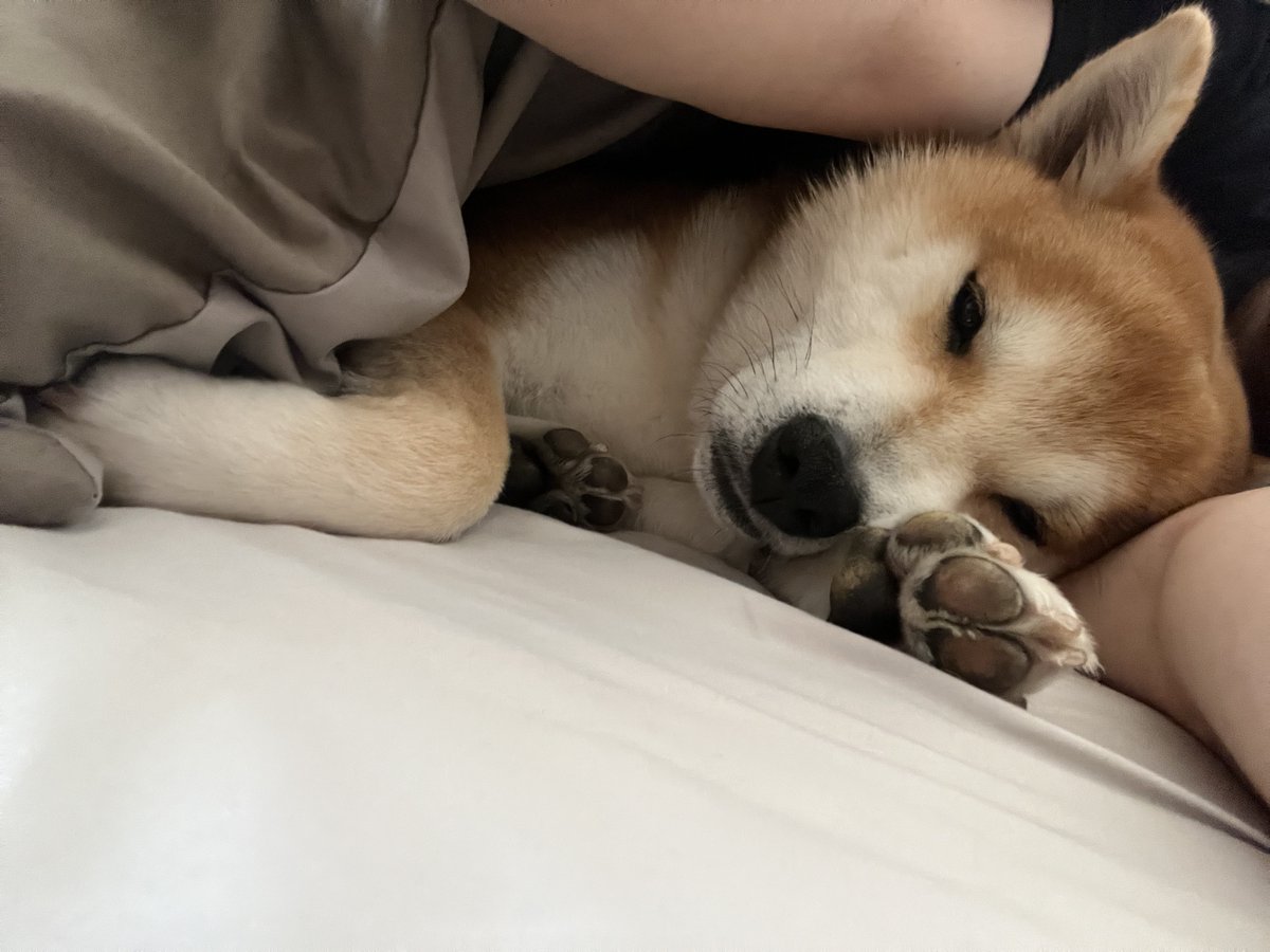 *るぽる さん tweet media