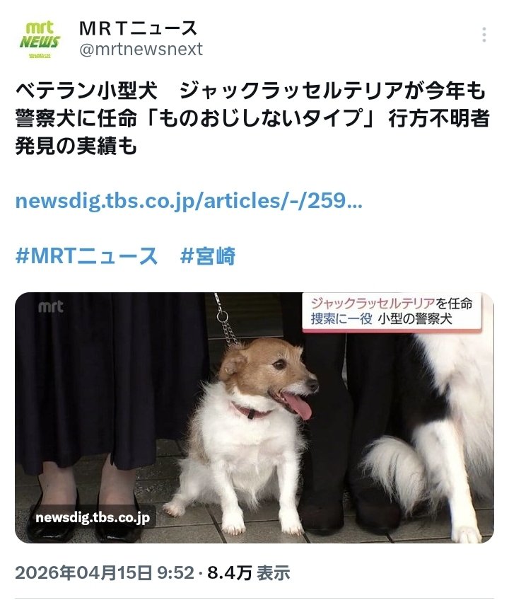 宮崎の警察、小型犬ブームきてる…????