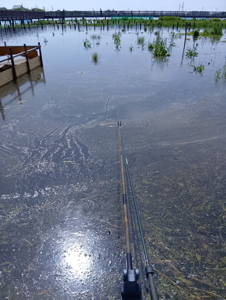 m@co★新鮮組 tweet media