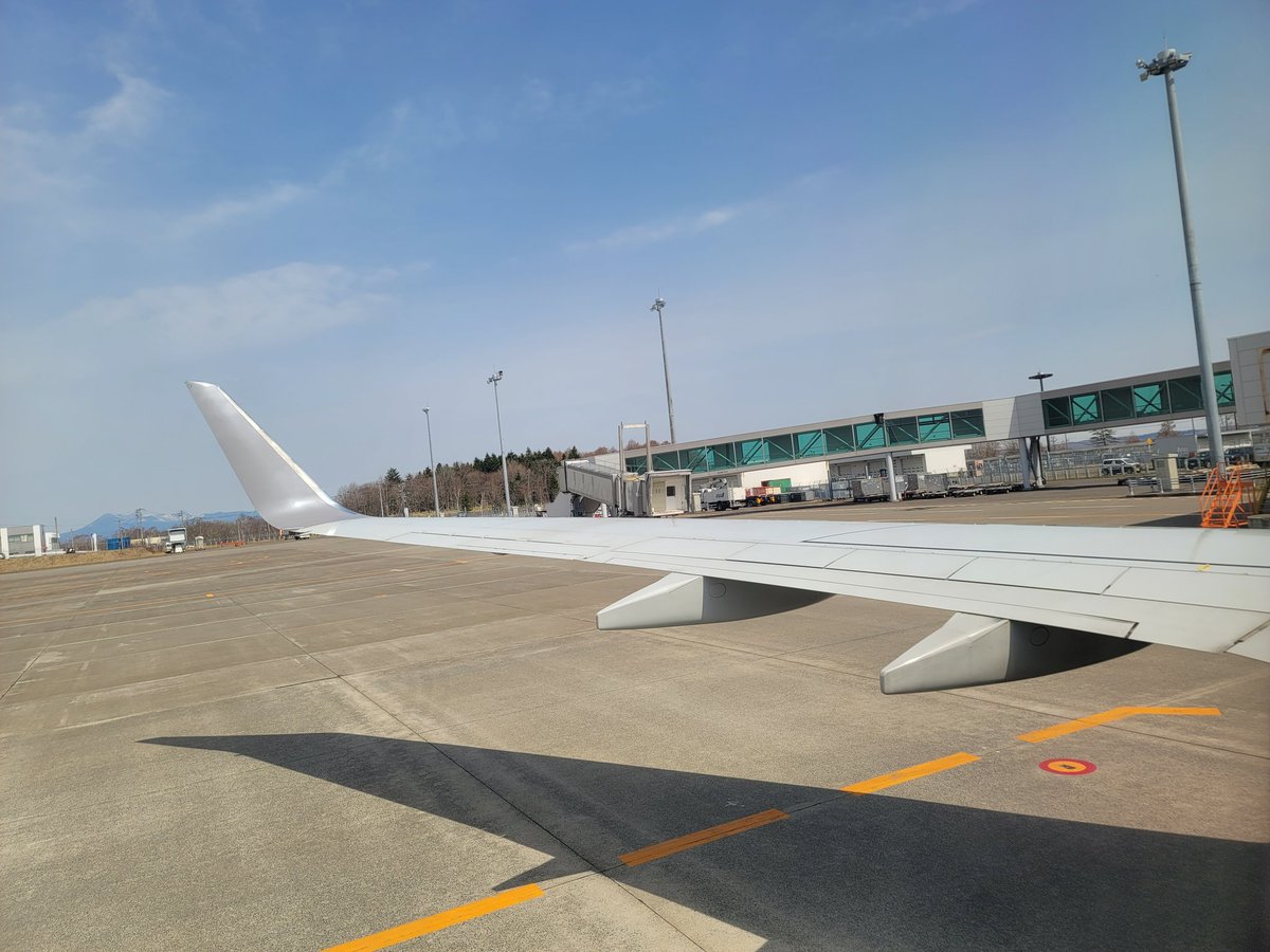 おもち tweet media