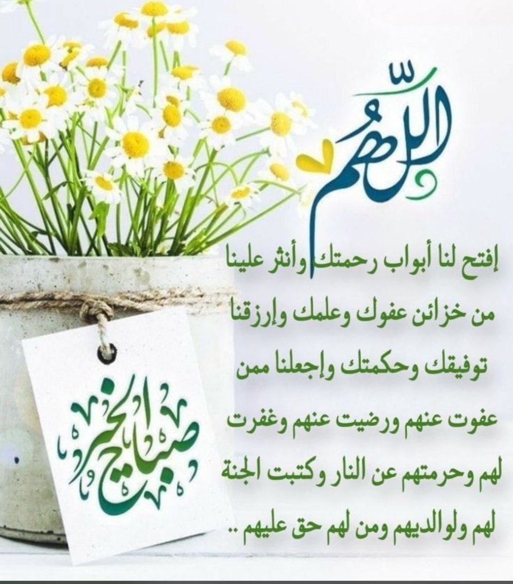 زهرة الصحراء tweet media