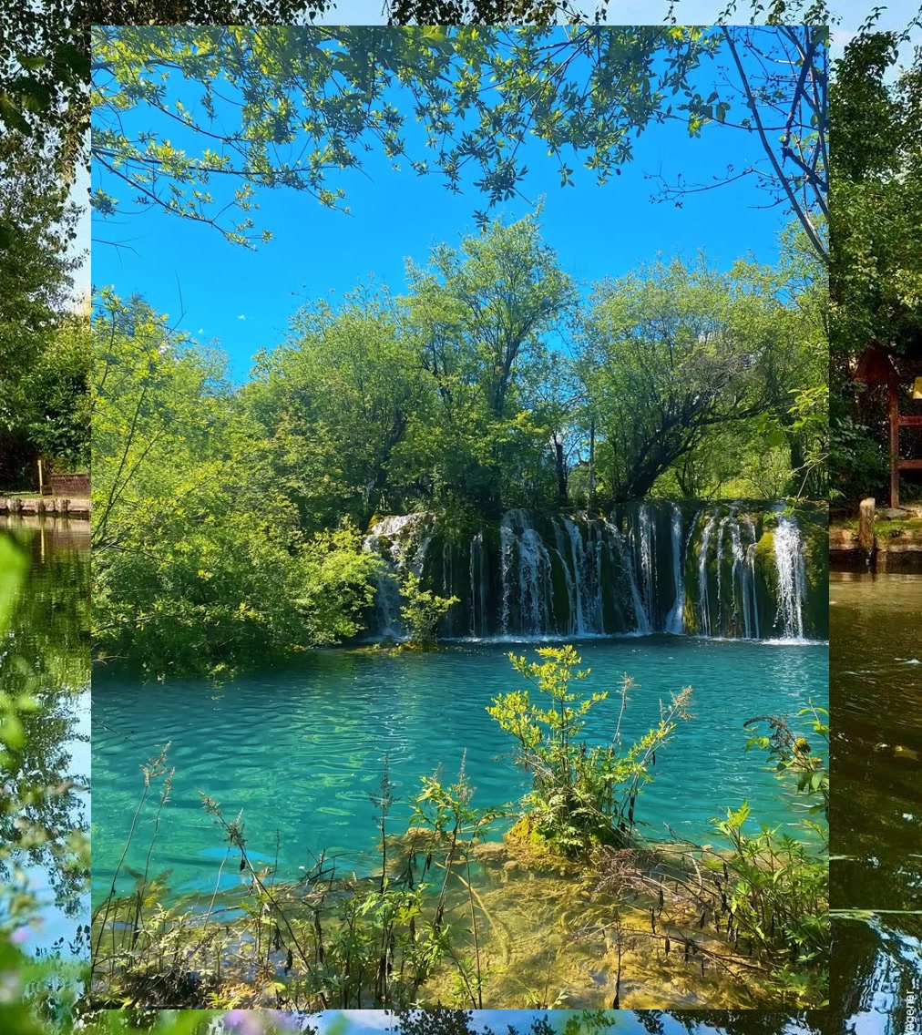 Matthew Collard tweet media