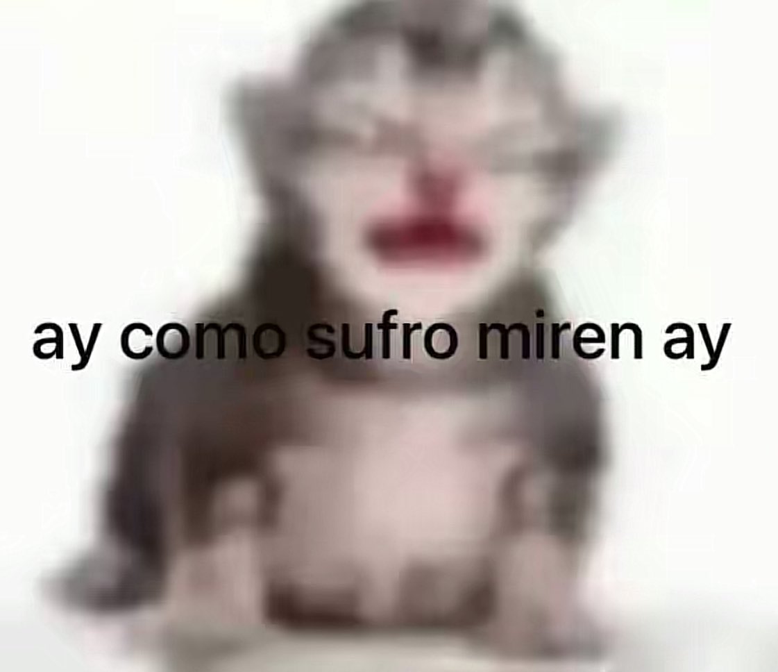 mimilyly tweet media