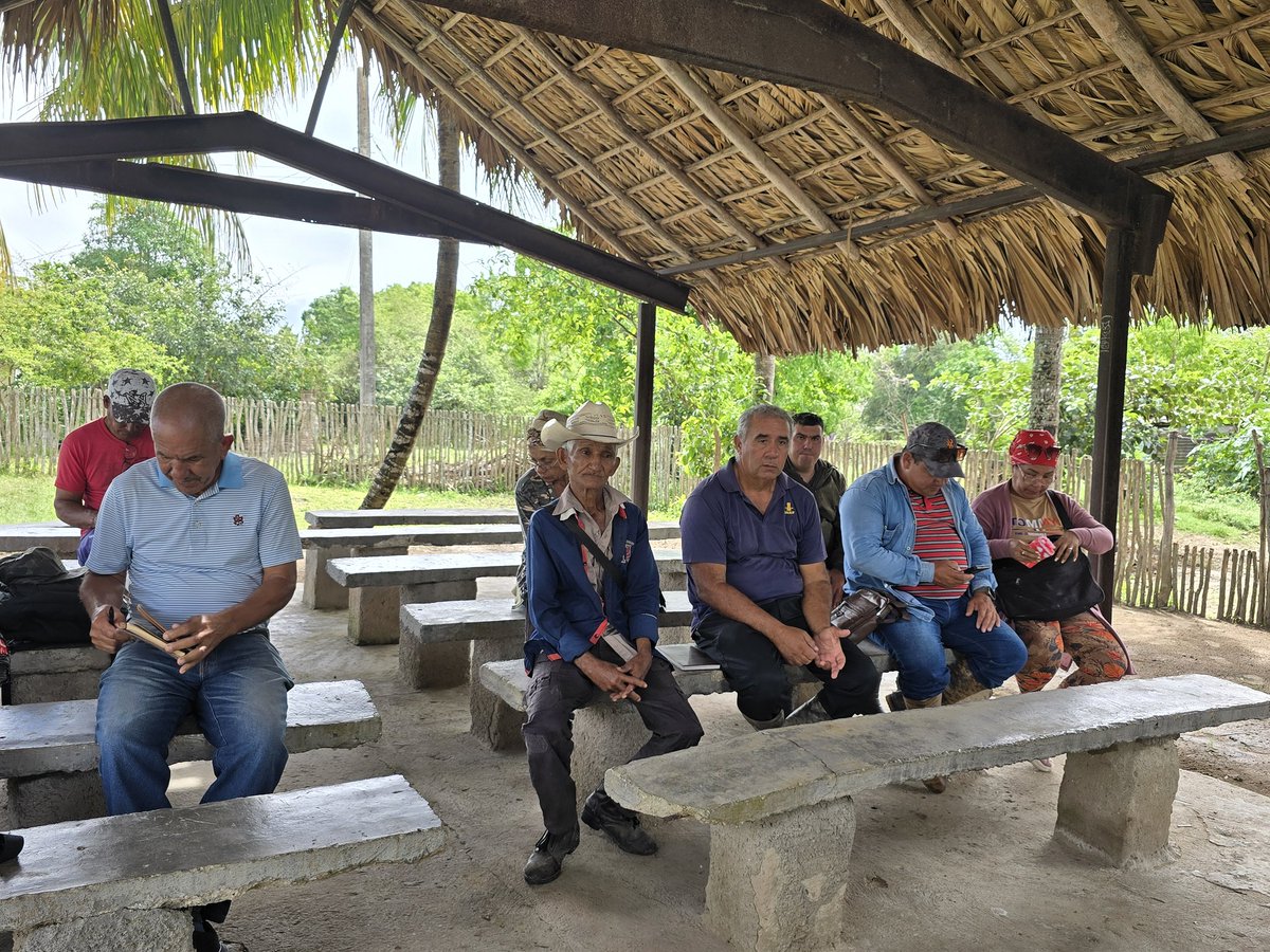 Intendente Las Tunas tweet media